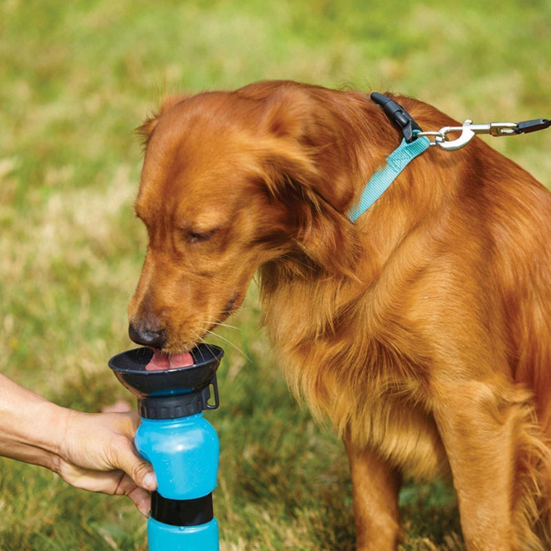 DoggyWater - borraccia per cani - EDIZIONE LIMITATA – Gadget on Top